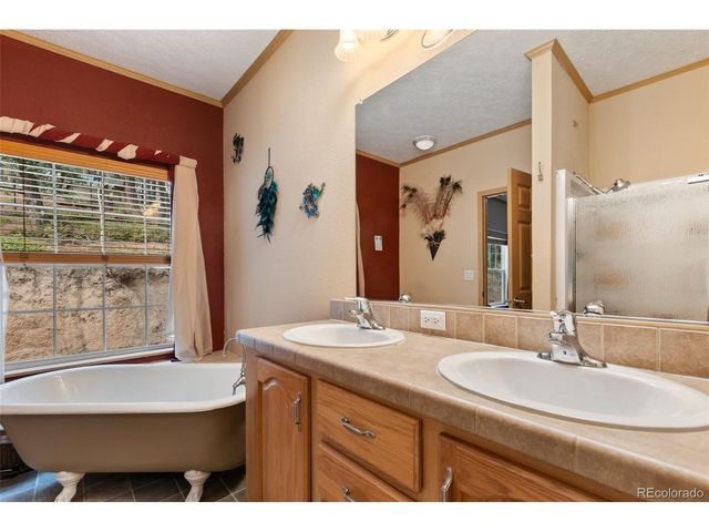 129 Kestrel Ct, Divide, CO 80814