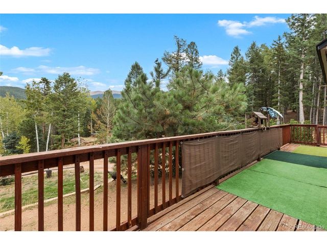 129 Kestrel Ct, Divide, CO 80814
