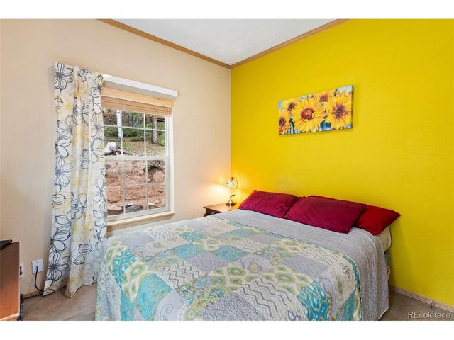 129 Kestrel Ct, Divide, CO 80814