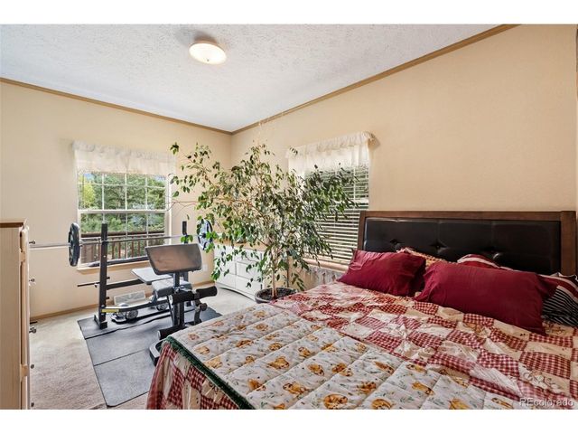 129 Kestrel Ct, Divide, CO 80814