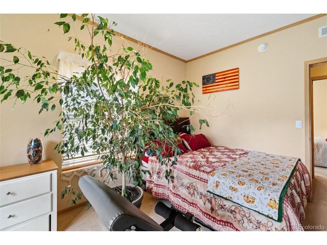 129 Kestrel Ct, Divide, CO 80814