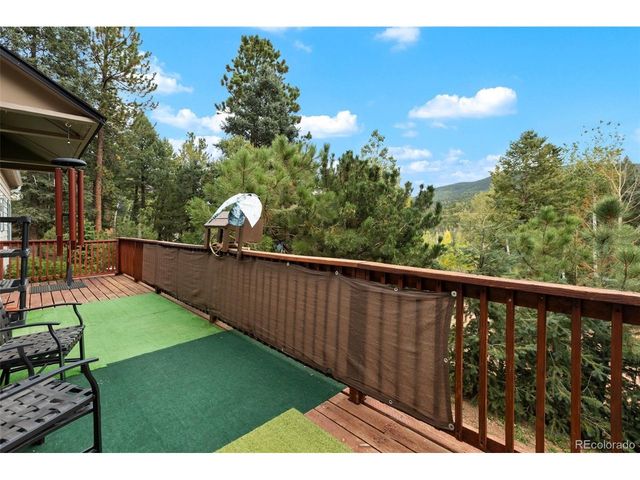 129 Kestrel Ct, Divide, CO 80814