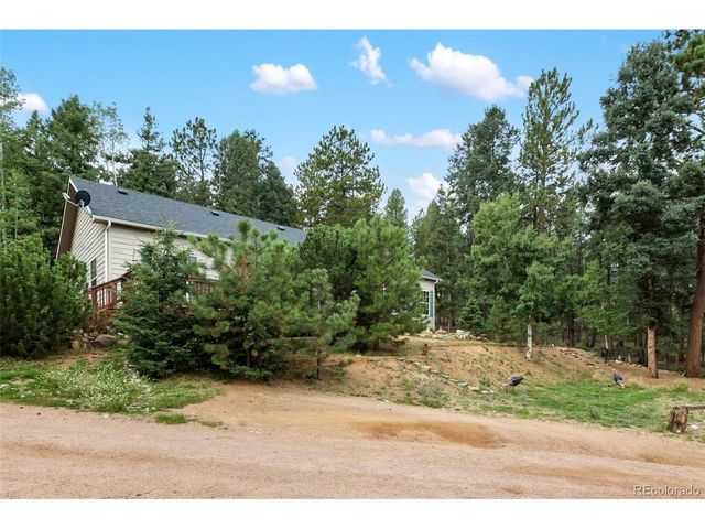 129 Kestrel Ct, Divide, CO 80814