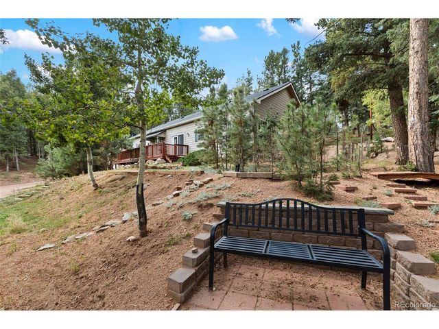 129 Kestrel Ct, Divide, CO 80814