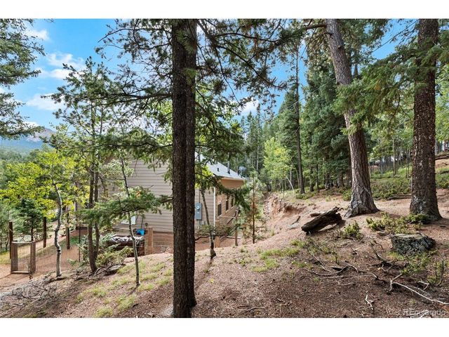 129 Kestrel Ct, Divide, CO 80814