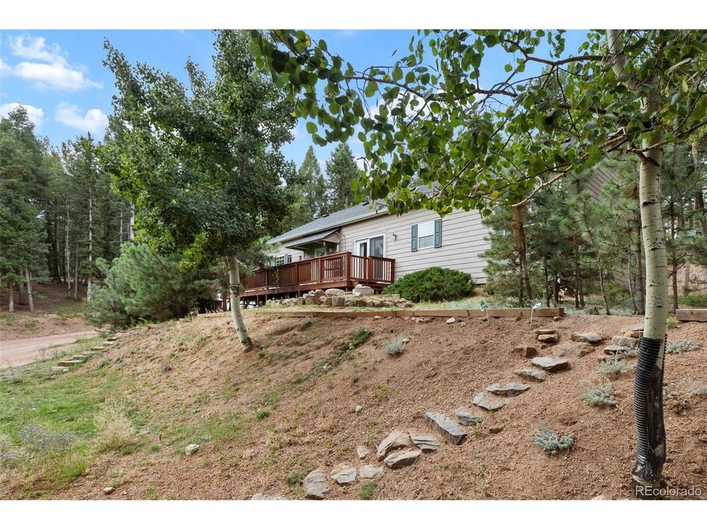 129 Kestrel Ct, Divide, CO 80814