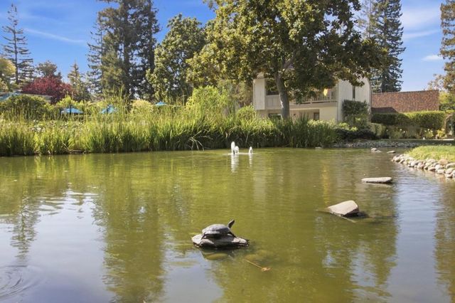 19111 Vineyard, Saratoga, CA 95070