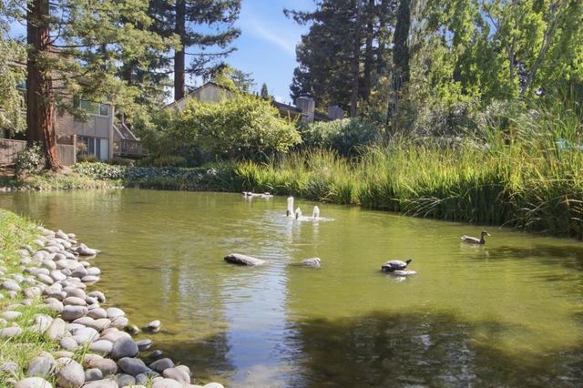 19111 Vineyard, Saratoga, CA 95070