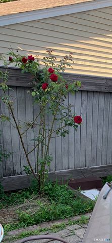 630 Longfellow Drive, Branford, CT 06405