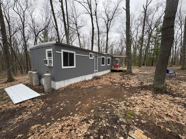 9612 S Briar Avenue, Baldwin, MI 49304
