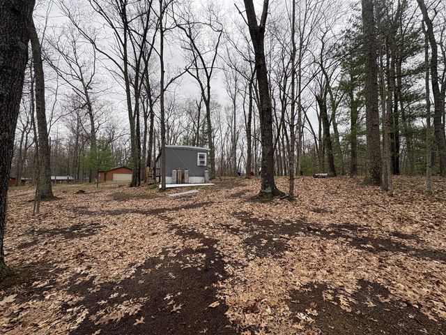 9612 S Briar Avenue, Baldwin, MI 49304