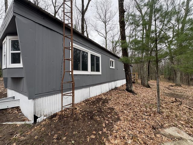 9612 S Briar Avenue, Baldwin, MI 49304