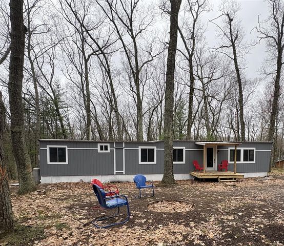 9612 S Briar Avenue, Baldwin, MI 49304