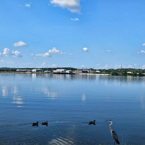 224 Kennett Rd, Old Hickory, TN 37138