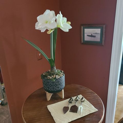 2009 Lebanon Pike, Nashville, TN 37210