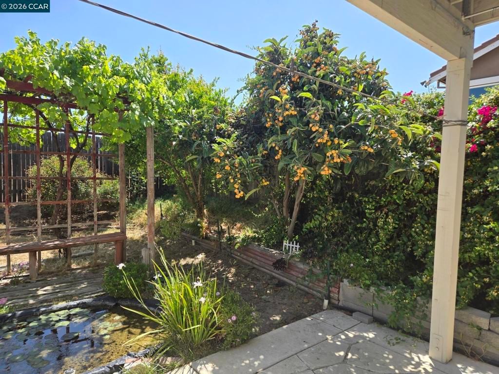Image 19 of property listing at 505 Jane Lane, Oakley, CA 94561
