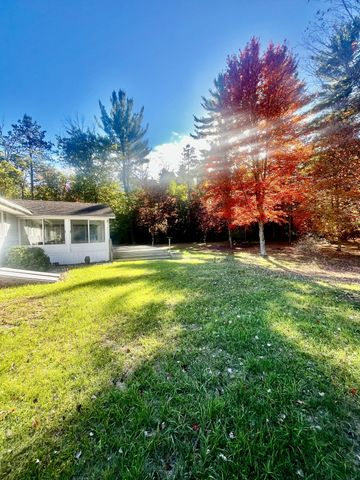7481 S M-37, Pleasant Plains Twp, MI 49304