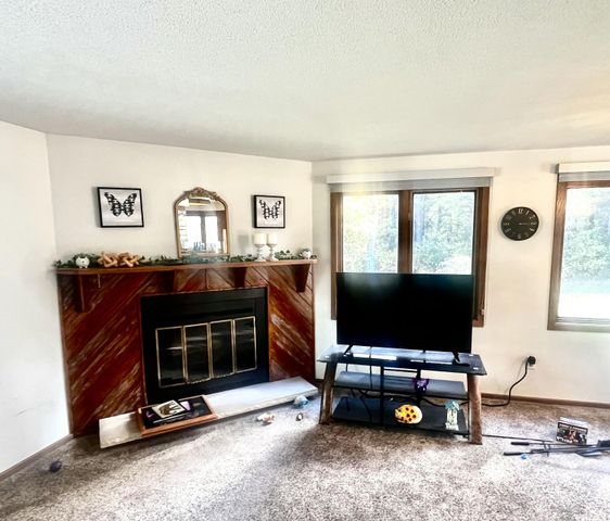 7481 S M-37, Pleasant Plains Twp, MI 49304