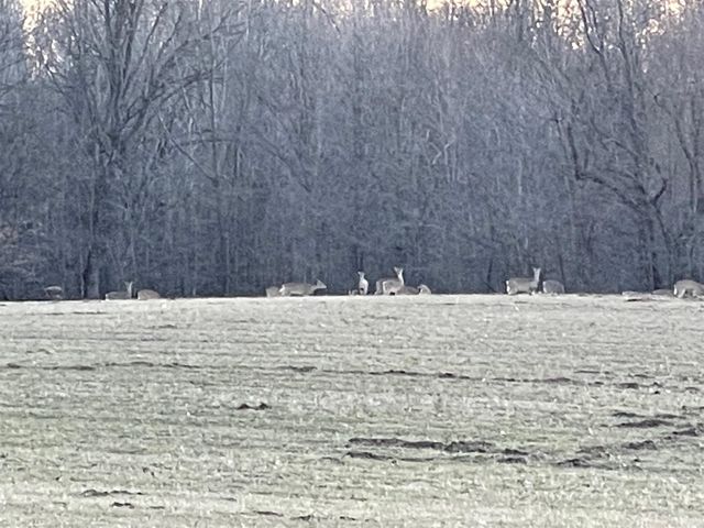 4574 34th Street, Zeeland, MI 49464