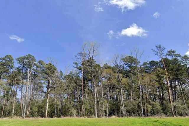 156 Longfellow Road, New Waverly, TX 77358
