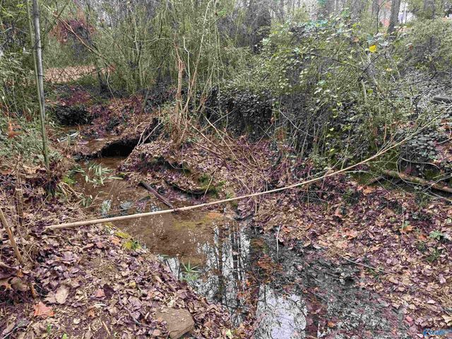 239 NW Hampton Road NW, Hartselle, AL 35640