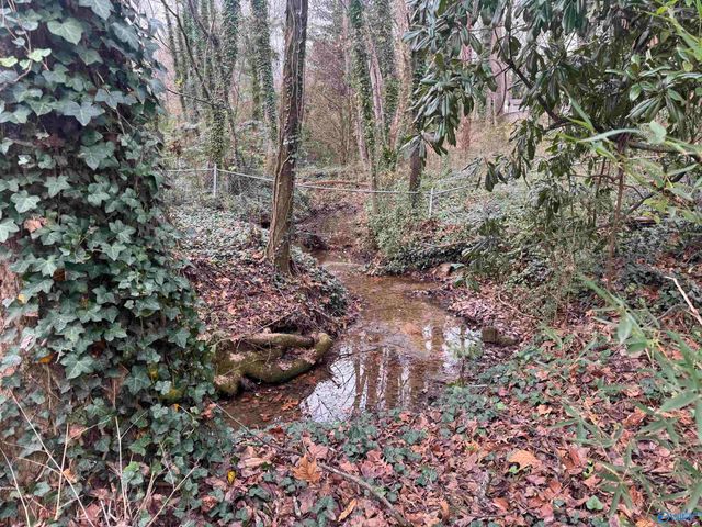 239 NW Hampton Road NW, Hartselle, AL 35640