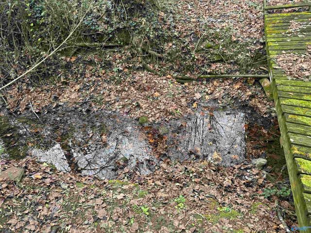 239 NW Hampton Road NW, Hartselle, AL 35640