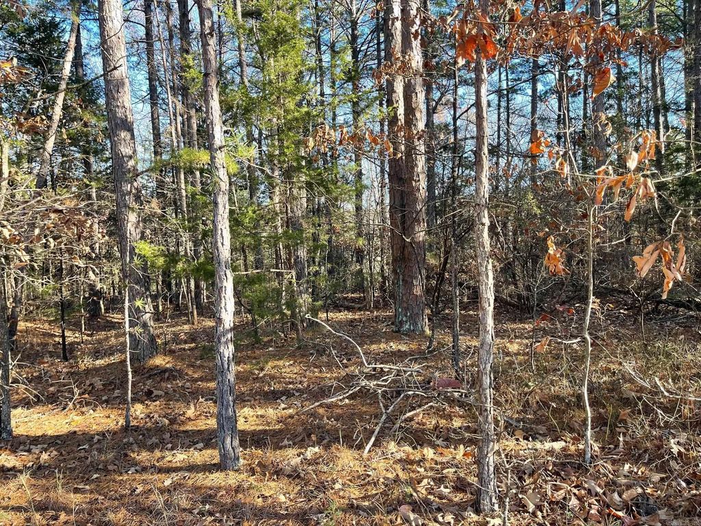 000 The Greens Drive, Fairfield Bay, AR 72088