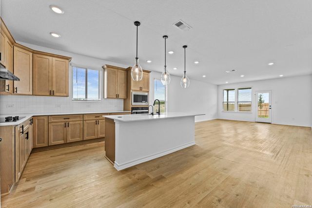 1512 Whistlers Way, Marion, TX 78124