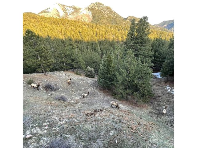 750 Cougar Dr, Boulder, CO 80302