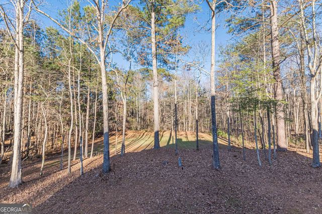 125 Lyndhurst Way, Sharpsburg, GA 30277