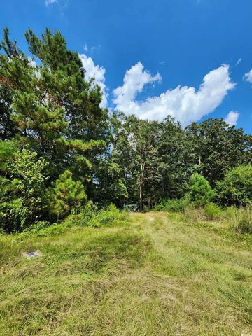 239 Canis Lupus Lane, Aynor, SC 29511