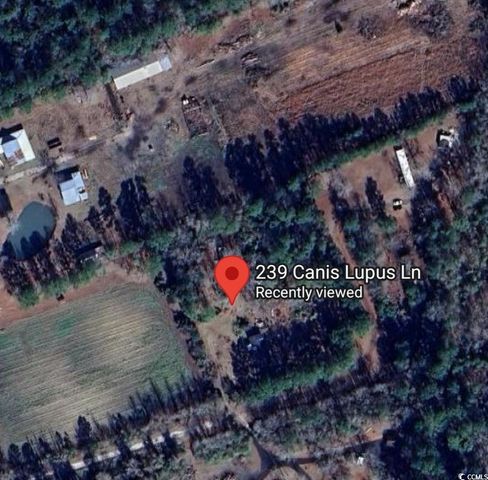 239 Canis Lupus Lane, Aynor, SC 29511