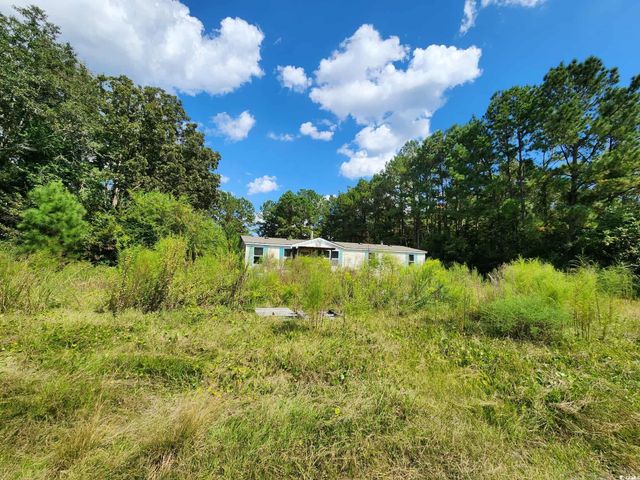 239 Canis Lupus Lane, Aynor, SC 29511