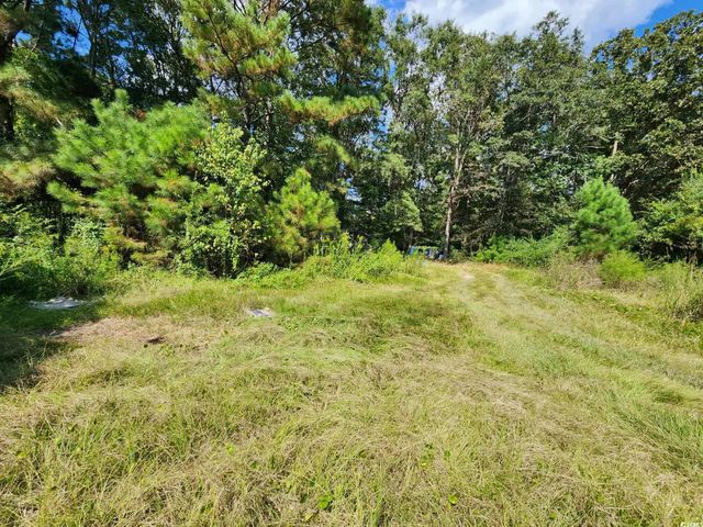 239 Canis Lupus Lane, Aynor, SC 29511