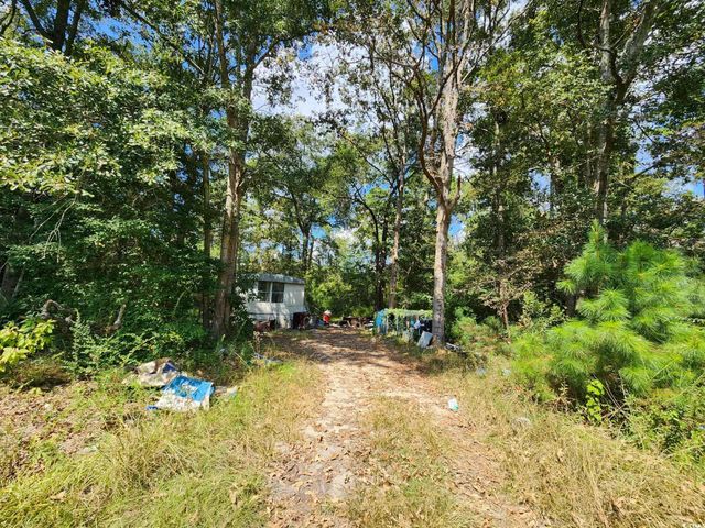 239 Canis Lupus Lane, Aynor, SC 29511
