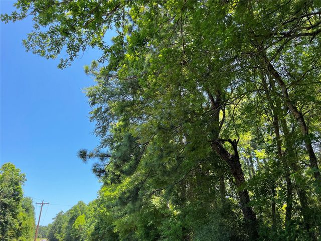 9 Fm 330, Geneva, TX 75959