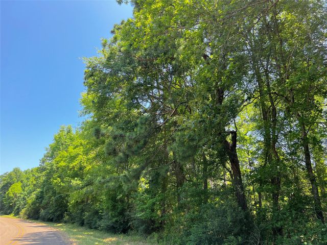 9 Fm 330, Geneva, TX 75959