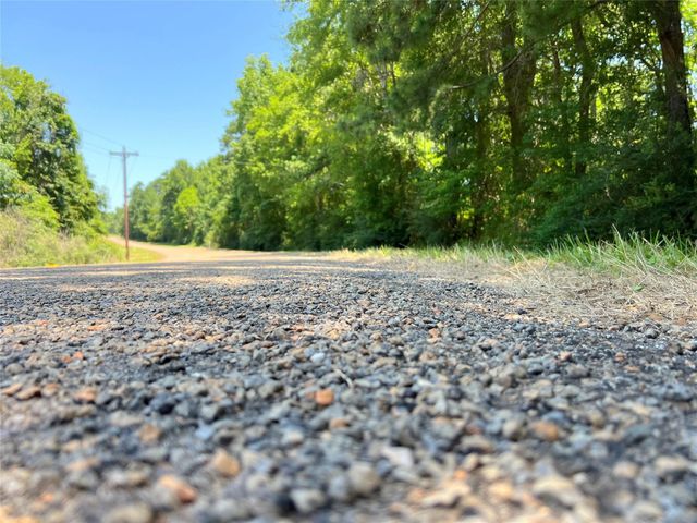 9 Fm 330, Geneva, TX 75959