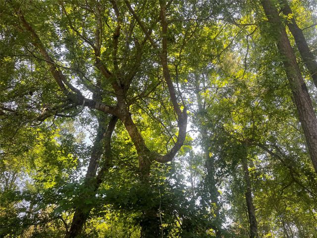 9 Fm 330, Geneva, TX 75959