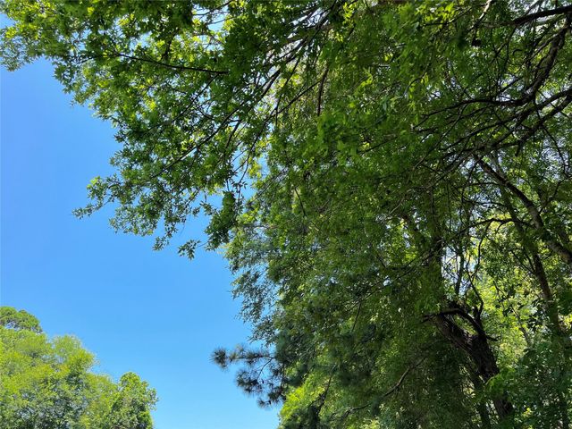 9 Fm 330, Geneva, TX 75959