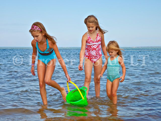 210 Billington Lane UNIT 210, Brewster, MA 02631