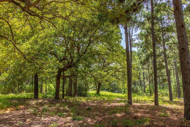 Tract 5 Hwy 155, Frankston, TX 75763
