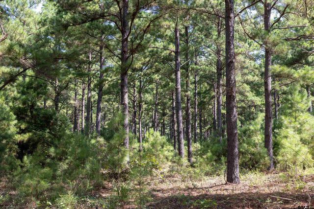 Tract 5 Hwy 155, Frankston, TX 75763