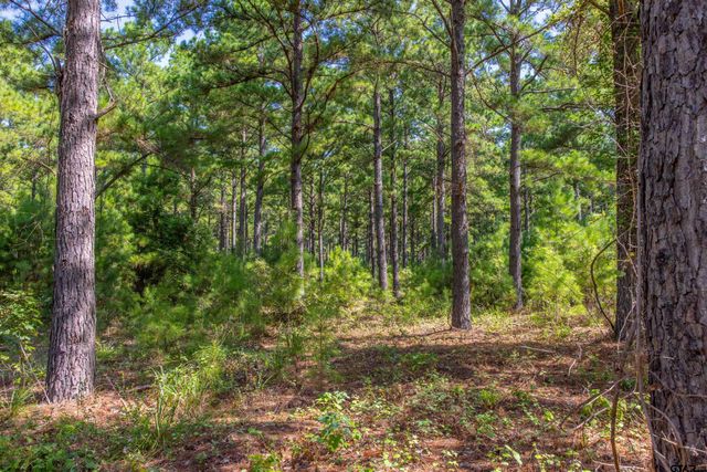 Tract 5 Hwy 155, Frankston, TX 75763