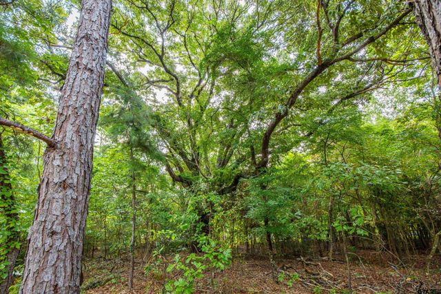 Tract 5 Hwy 155, Frankston, TX 75763