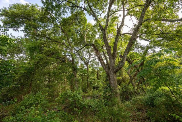Tract 5 Hwy 155, Frankston, TX 75763