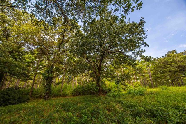 Tract 5 Hwy 155, Frankston, TX 75763