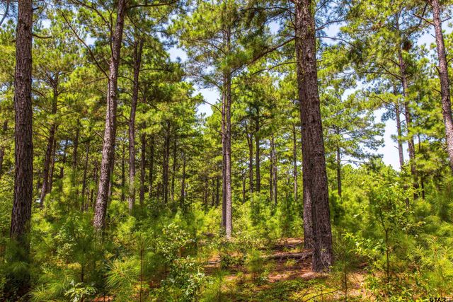 Tract 5 Hwy 155, Frankston, TX 75763