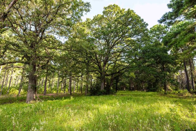 Tract 5 Hwy 155, Frankston, TX 75763